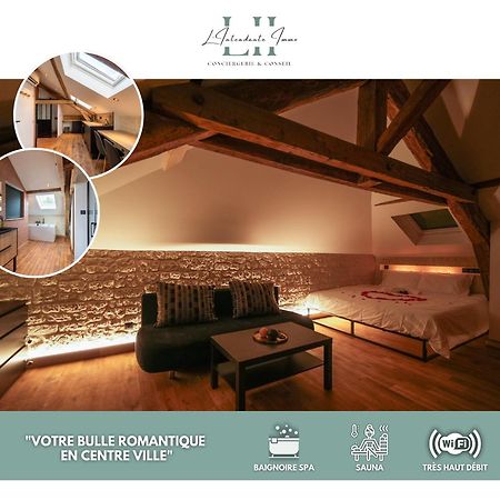 Evasion Chic, Spa Et Sauna Sous Les Toits Нанси Экстерьер фото